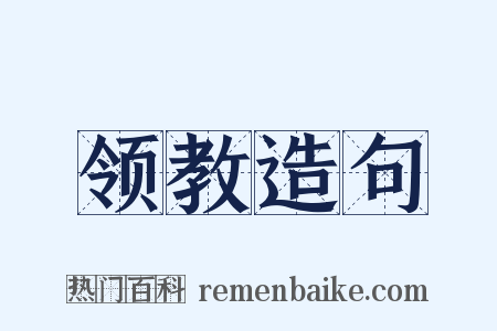 领教造句是什么意思的图片